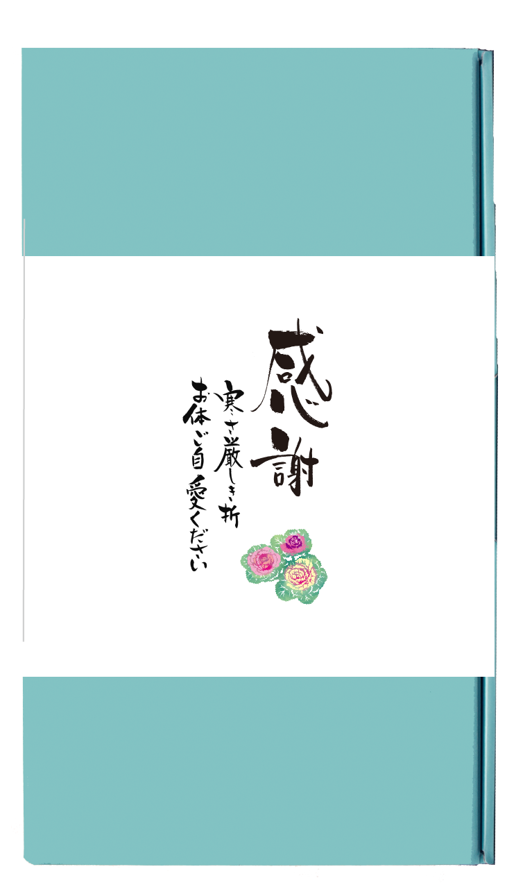 のし紙 サンプル例